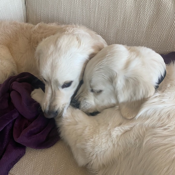 WELCOME TO MY POSHCLOSET 😘 I’m SO happy you popped by 😁 Here’s info on me 😉 - Picture 12 of 15